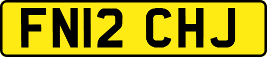 FN12CHJ