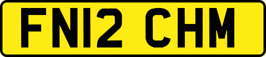 FN12CHM