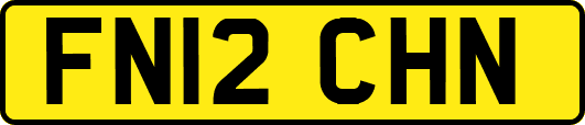 FN12CHN