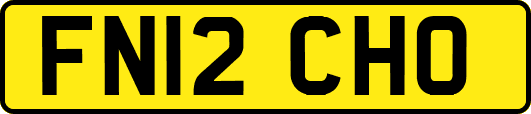FN12CHO