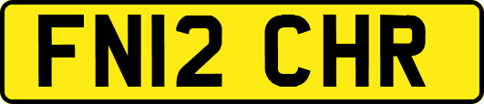 FN12CHR