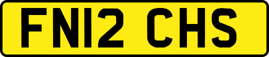 FN12CHS