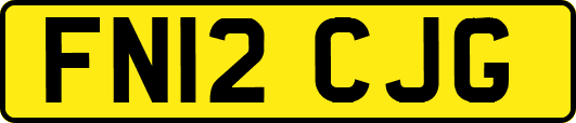 FN12CJG