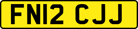 FN12CJJ