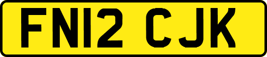 FN12CJK