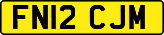 FN12CJM