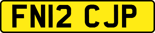 FN12CJP