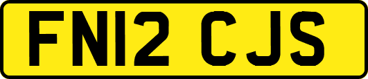 FN12CJS