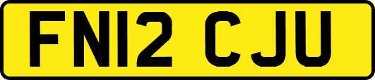 FN12CJU