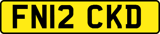 FN12CKD