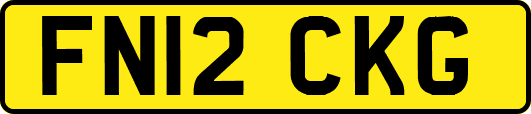 FN12CKG