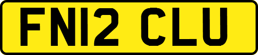 FN12CLU