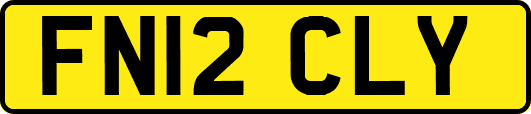 FN12CLY