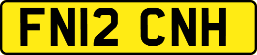 FN12CNH