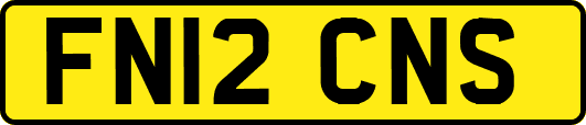 FN12CNS