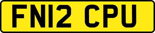 FN12CPU