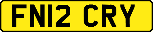 FN12CRY