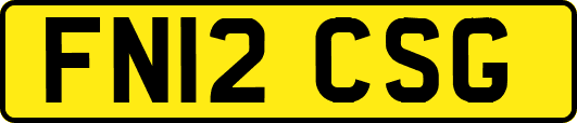 FN12CSG