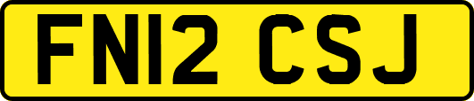 FN12CSJ