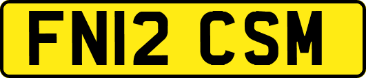 FN12CSM