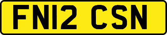 FN12CSN