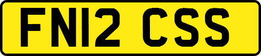 FN12CSS