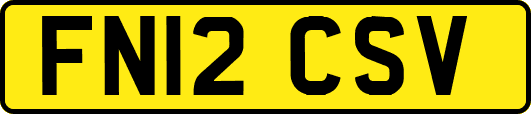 FN12CSV