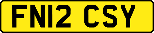 FN12CSY