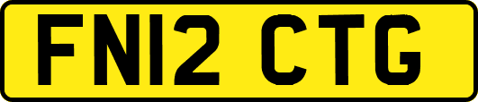 FN12CTG