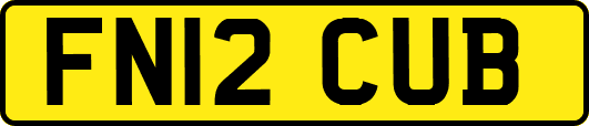 FN12CUB