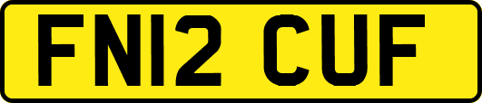 FN12CUF