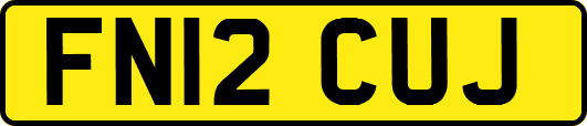 FN12CUJ