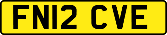 FN12CVE