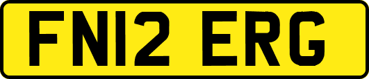 FN12ERG
