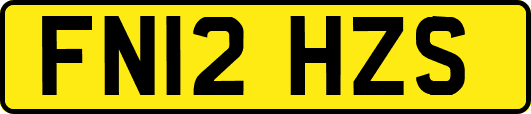 FN12HZS