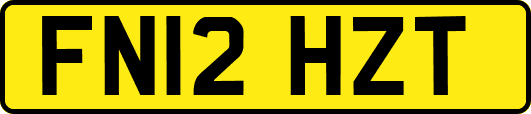 FN12HZT