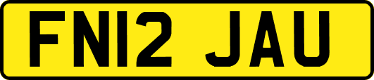 FN12JAU