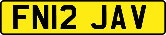 FN12JAV