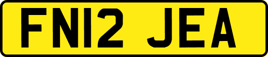 FN12JEA