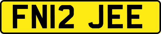 FN12JEE