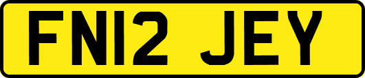 FN12JEY