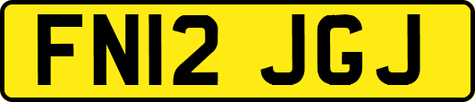 FN12JGJ