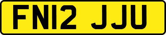 FN12JJU