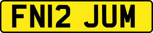 FN12JUM