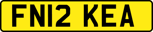 FN12KEA