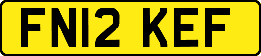 FN12KEF