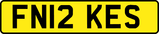 FN12KES