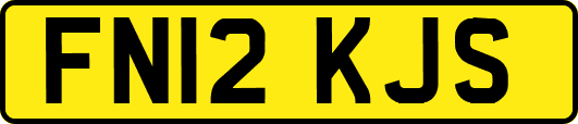 FN12KJS
