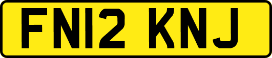 FN12KNJ