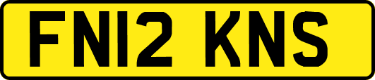 FN12KNS